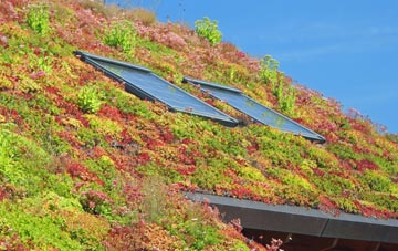 Wood Bevington living roof systems